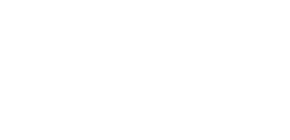 Ak Frenos